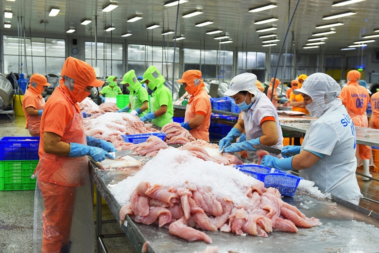 cá tra thủy sản Việt Nam