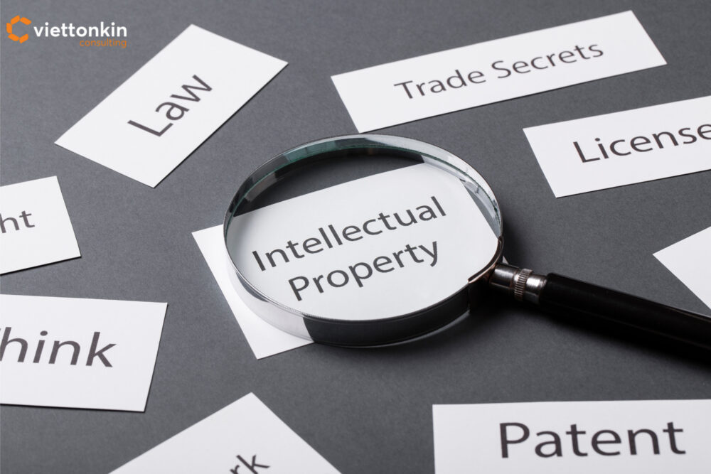 Kính lúp làm nổi bật sở hữu trí tuệ bao quanh bởi các từ luật, bằng sáng chế, bí mật thương mại và giấy phép