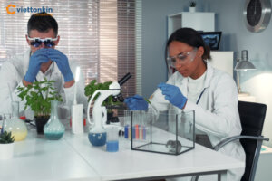 Sự Tăng Trưởng Của Đầu Tư Công Nghệ Sinh Học Thái Lan Tại Việt Nam Và Cơ Hội Giao Thương Mới